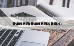 爱唯欧两厢(爱唯欧两厢改装图片)