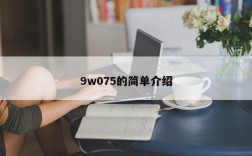 9w075的简单介绍