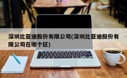 深圳比亚迪股份有限公司(深圳比亚迪股份有限公司在哪个区)