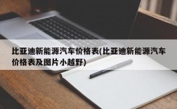 比亚迪新能源汽车价格表(比亚迪新能源汽车价格表及图片小越野)