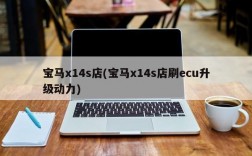 宝马x14s店(宝马x14s店刷ecu升级动力)