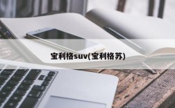 宝利格suv(宝利格苏)