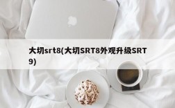 大切srt8(大切SRT8外观升级SRT9)