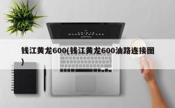 钱江黄龙600(钱江黄龙600油路连接图)