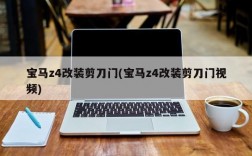 宝马z4改装剪刀门(宝马z4改装剪刀门视频)