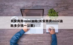 长安奔奔mini油耗(长安奔奔mini油耗多少钱一公里)