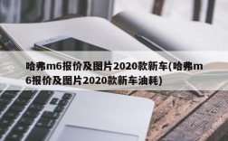 哈弗m6报价及图片2020款新车(哈弗m6报价及图片2020款新车油耗)