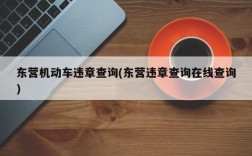 东营机动车违章查询(东营违章查询在线查询)