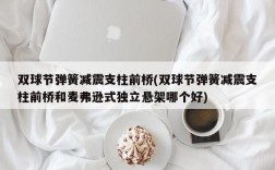 双球节弹簧减震支柱前桥(双球节弹簧减震支柱前桥和麦弗逊式独立悬架哪个好)