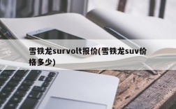 雪铁龙survolt报价(雪铁龙suv价格多少)