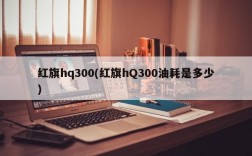 红旗hq300(红旗hQ300油耗是多少)