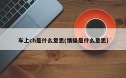 车上ch是什么意思(情操是什么意思)