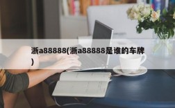 浙a88888(浙a88888是谁的车牌)