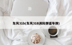 东风31b(东风31B洲际弹道导弹)