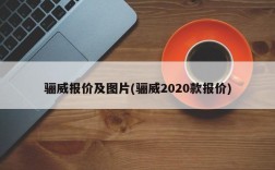 骊威报价及图片(骊威2020款报价)