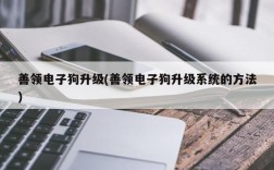 善领电子狗升级(善领电子狗升级系统的方法)