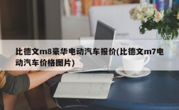 比德文m8豪华电动汽车报价(比德文m7电动汽车价格图片)