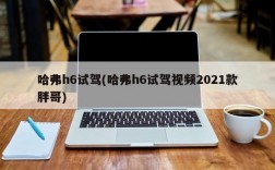 哈弗h6试驾(哈弗h6试驾视频2021款胖哥)