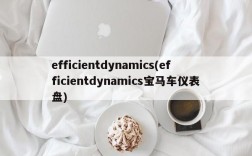 efficientdynamics(efficientdynamics宝马车仪表盘)