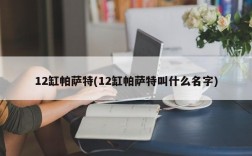 12缸帕萨特(12缸帕萨特叫什么名字)