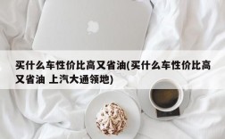 买什么车性价比高又省油(买什么车性价比高又省油 上汽大通领地)